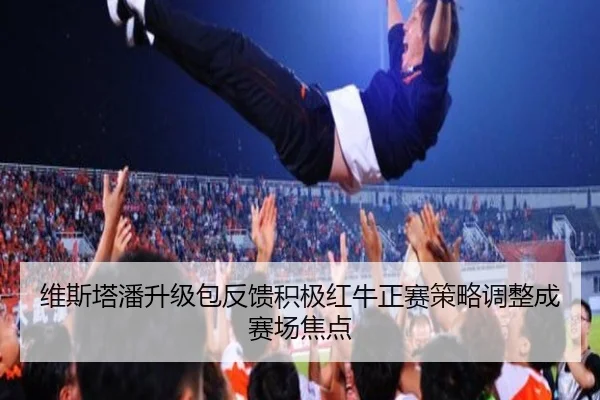 维斯塔潘升级包反馈积极红牛正赛策略调整成赛场焦点